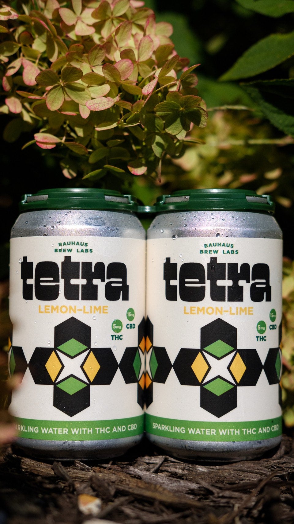 Home | Bauhaus Brew Labs